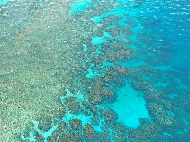 great-barrier-reef-261727__480